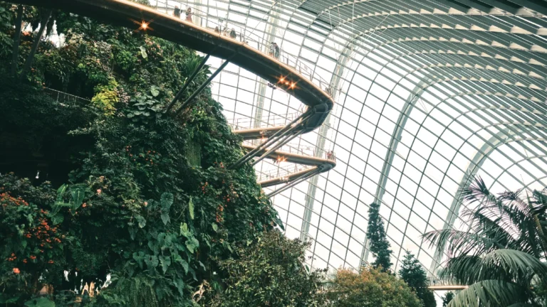 Biodome with elevated walkways and green planted wall