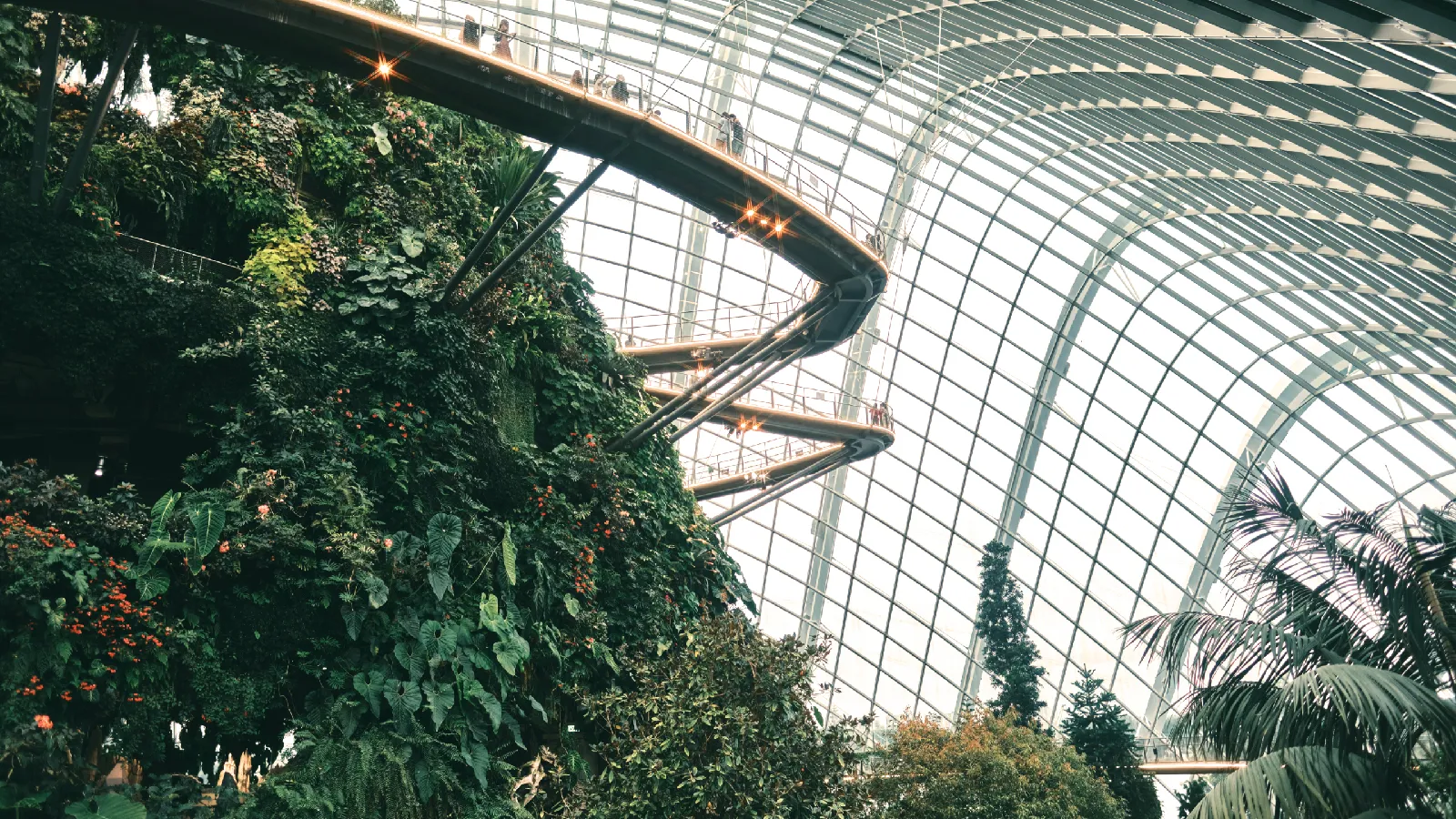 Biodome with elevated walkways and green planted wall