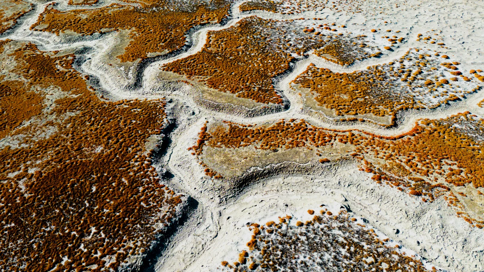 Erosion channels in arid landscape