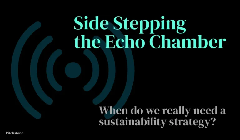 Side Stepping the Echo Chamber - When Do We Really Need A Sustainability Strategy?