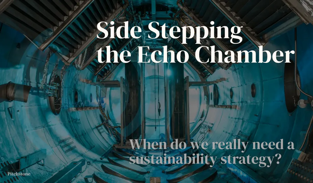 Side Stepping the Echo Chamber - When Do We Really Need A Sustainability Strategy?